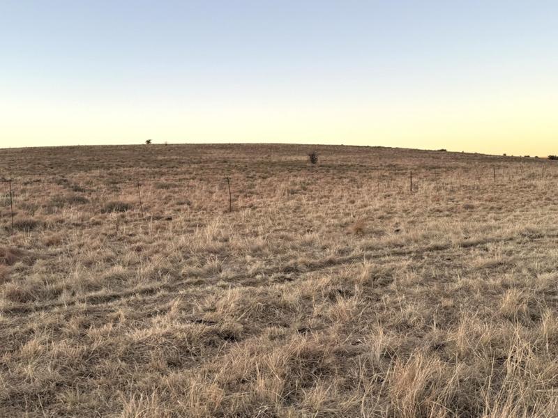 0 Bedroom Property for Sale in Warden Free State